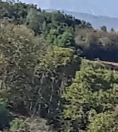 Chasnitas 3 * La Orotava